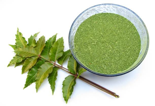 Powder Beetroot Image
